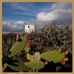 Silo at Mount Corona